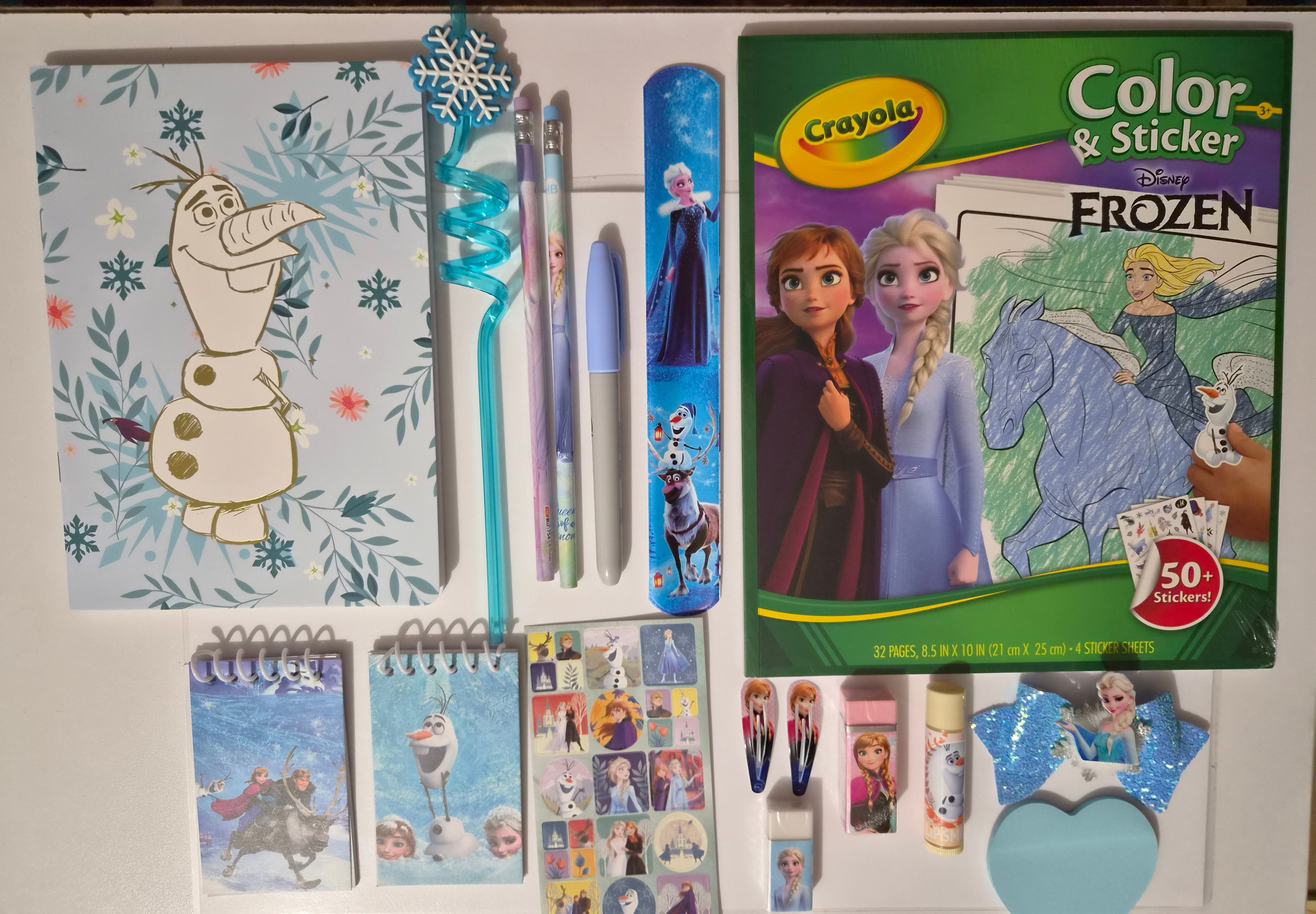 Frozen Themes Pre Curated Bundles